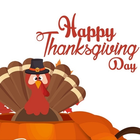 Pre Thanksgiving Sale 🦃🍗🦃 - Picture 3 of 3